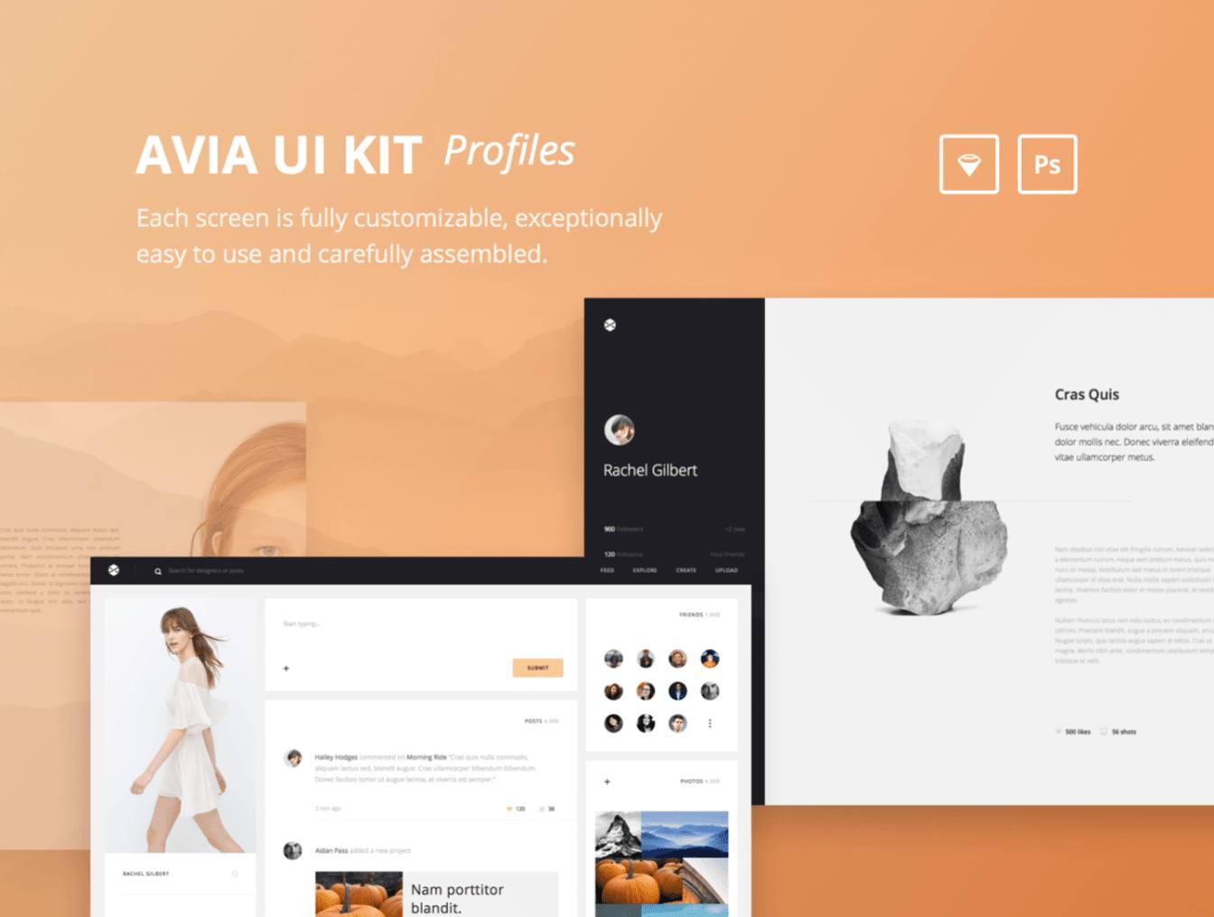 Avia UI Kit - 40 Sketch Template Profile Kit 