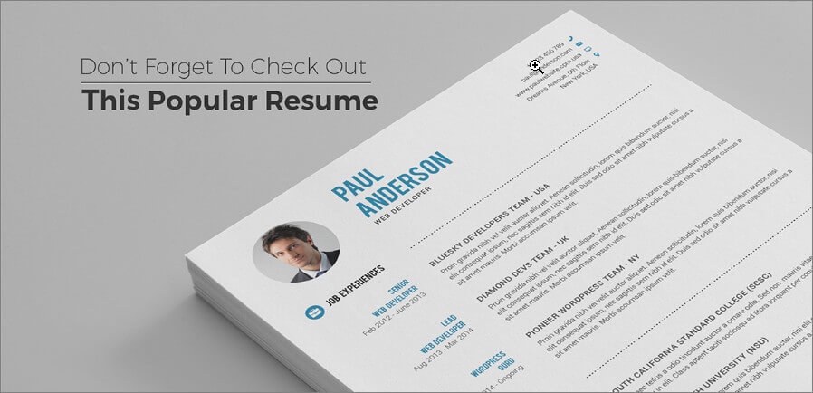 Popular Resume Template