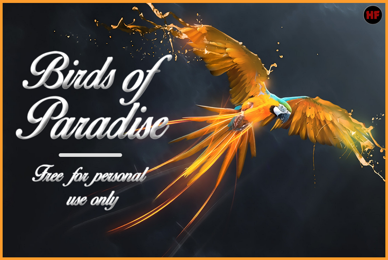 Birds of Paradise Font